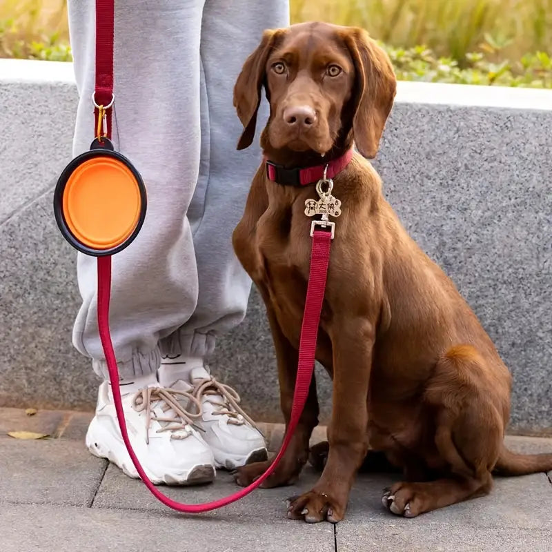 Collapsible Pet Bowl – Portable Food & Water Solution for On-the-Go