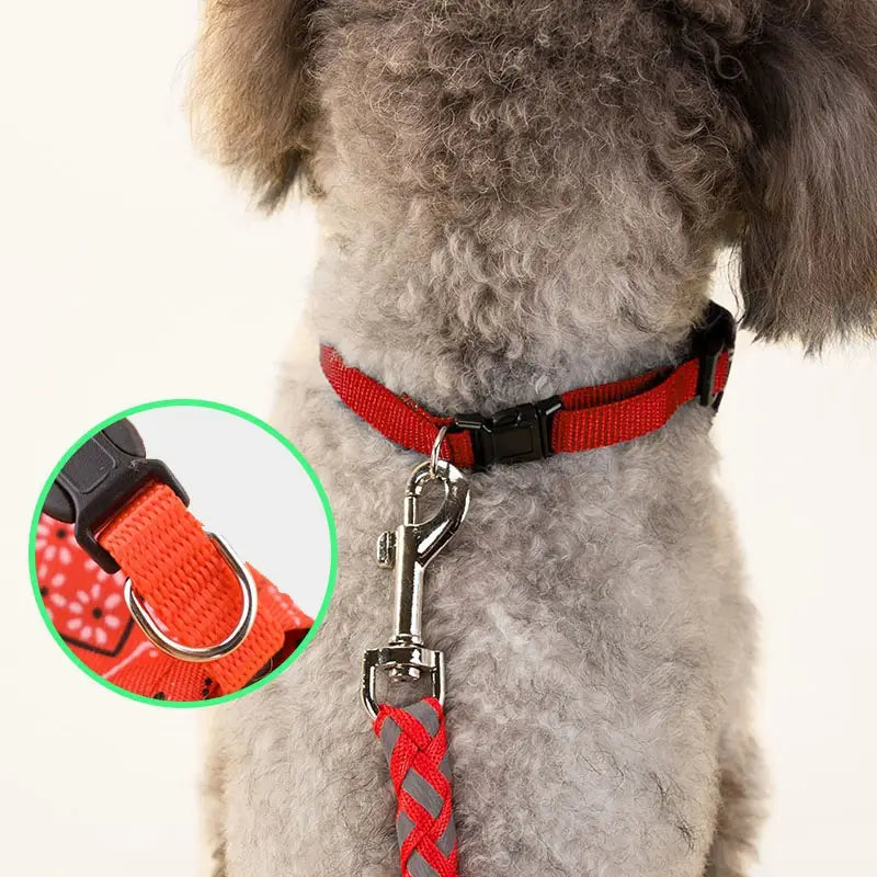 Trendy Pet Bandana – The Perfect Accessory for Your Furry Friend