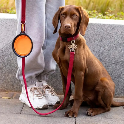 Collapsible Pet Bowl – Portable Food & Water Solution for On-the-Go