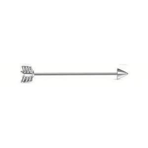 Assorted Stainless Steel  Industrial Earrings - Bold & Versatile Styles