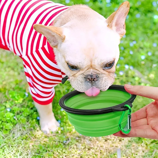 Collapsible Pet Bowl – Portable Food & Water Solution for On-the-Go